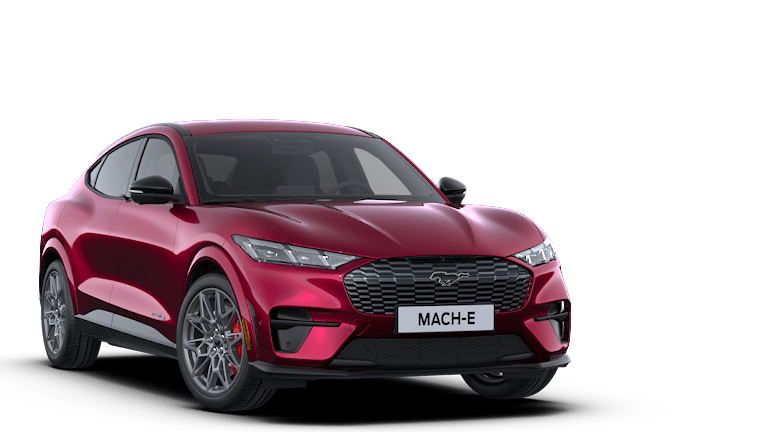 41 mustang mache e rally